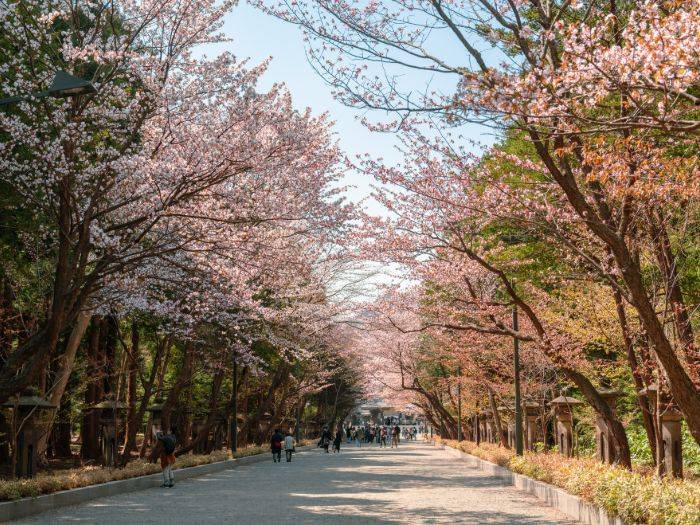 ⛩️ 홋카이도 신궁 (홋카이도 진구) 이미지 11